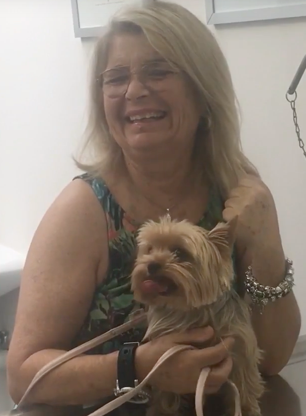 Animal Hospital Geneva, Geneva Animal Hospital, veterinarian Geneva, Geneva Veterinarian