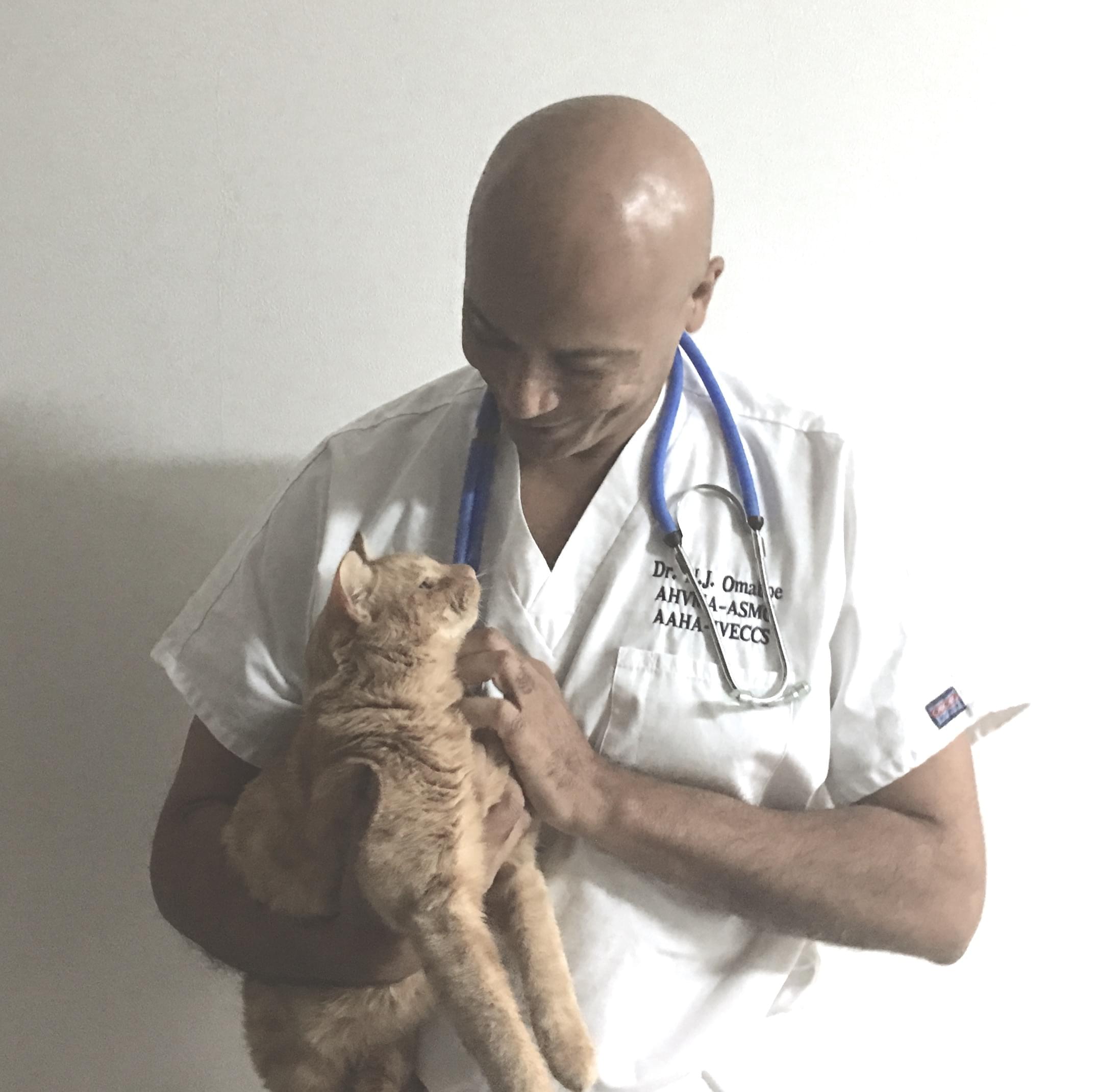 Vétérinaire Versoix, Veterinaire Versoix, Versoix Veterinaire, Versoix Vétérinaire, cabinet vétérinaire versoix, cabinet veterinaire versoix, clinique vétérinaire versoix, vétérinaire de Garde Versoix,veterinaire de Garde Versoix, Cabinet Vétérinaire International