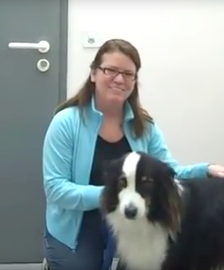 SOS Vétérinaire Genève, Urgences Vétérinaire Genève,Vétérinaire Genève, Vétérinaire de Garde Genève, Veterinaire de Garde Geneve, vétérinaire Versoix,  vétérinaire Rolle, vétérinaire Commugny, Vétérinaire urgence Nyon, vétérinaire crans près Céligny, vétérinaire Mies, Vétérinaire Nyon, vétérinaire Gland, vétérinaire Coppet, Vétérinaire de Garde Genève , Veterinaire de Garde Geneve, Vétérinaire de Garde Nyon, Vétérinaire de Garde Vaud, Vétérinaire de Garde Gland, Vétérinaire de Garde Morges, Animal Hospital Geneva, Geneva Animal Hospital, Difficulté à Uriner, Vétérinaire de Garde Lausanne ,apathie ou faiblesse chiens et chats