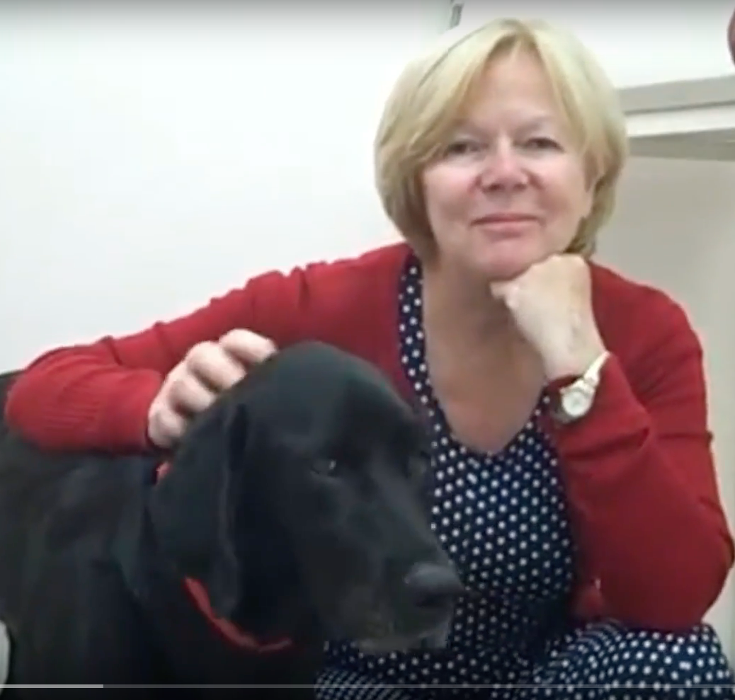 SOS Vétérinaire Genève, Urgences Vétérinaire Genève,Vétérinaire Genève, Vétérinaire de Garde Genève, Veterinaire de Garde Geneve, vétérinaire Versoix,  vétérinaire Rolle, vétérinaire Commugny, Vétérinaire urgence Nyon, vétérinaire crans près Céligny, vétérinaire Mies, Vétérinaire Nyon, vétérinaire Gland, vétérinaire Coppet, Vétérinaire de Garde Genève , Veterinaire de Garde Geneve, Vétérinaire de Garde Nyon, Vétérinaire de Garde Vaud, Vétérinaire de Garde Gland, Vétérinaire de Garde Morges, Animal Hospital Geneva, Geneva Animal Hospital, Difficulté à Uriner, Vétérinaire de Garde Lausanne ,apathie ou faiblesse chiens et chats