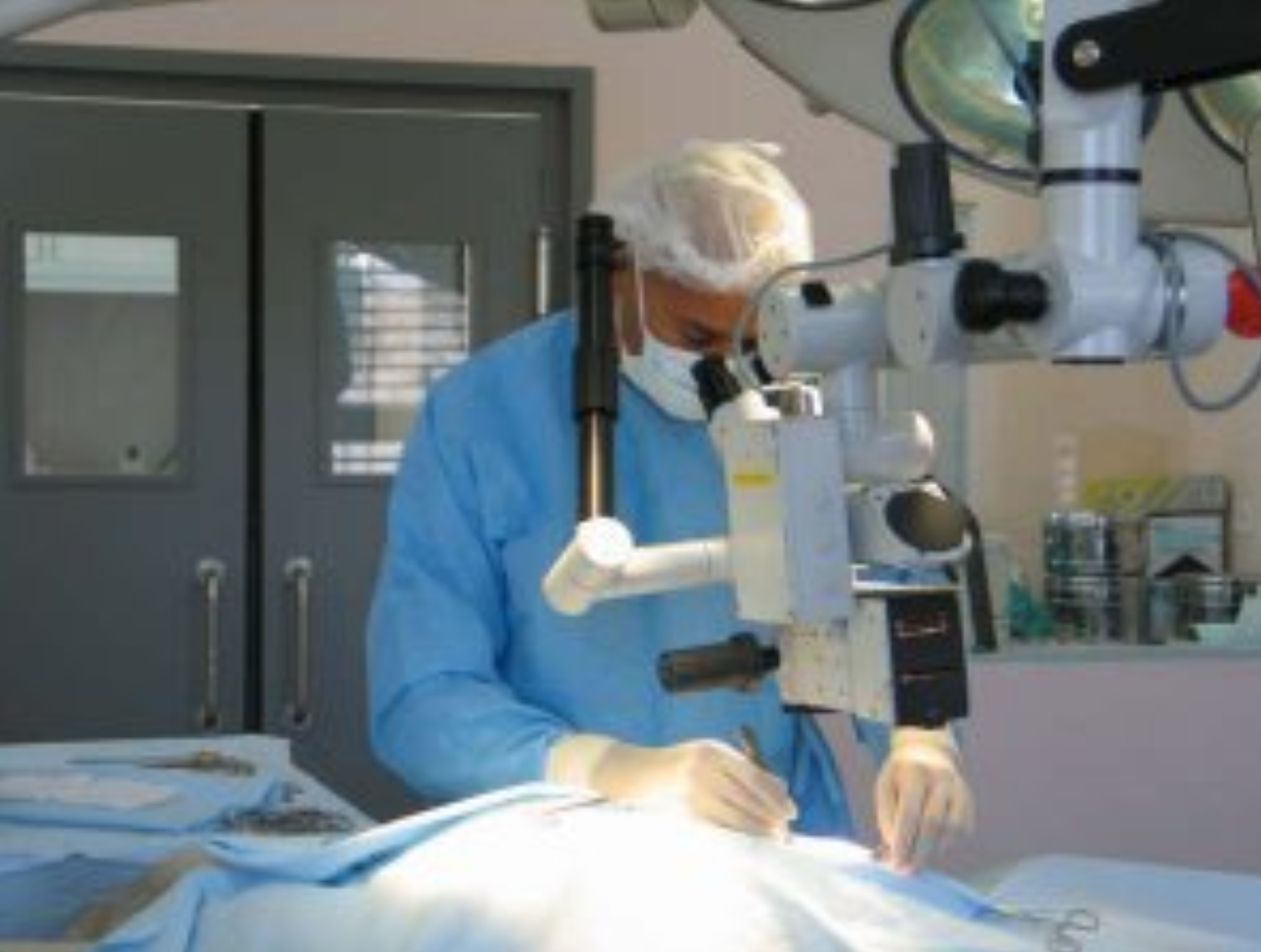 Dr Omaboe surgery, Vétérinaire Versoix, Veterinaire Versoix, Versoix Veterinaire, Versoix Vétérinaire, cabinet vétérinaire versoix, cabinet veterinaire versoix, clinique vétérinaire versoix, vétérinaire de Garde Versoix,veterinaire de Garde Versoix, Cabinet Vétérinaire International