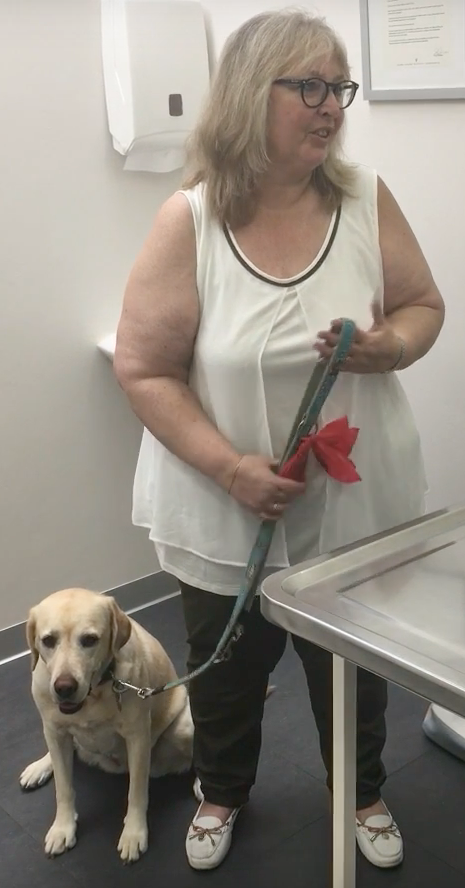 Animal Hospital Geneva, Geneva Animal Hospital, veterinarian Geneva, Geneva Veterinarian