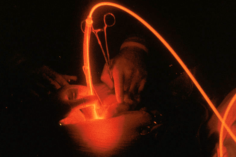 surgery, Vétérinaire Versoix, Veterinaire Versoix, Versoix Veterinaire, Versoix Vétérinaire, cabinet vétérinaire versoix, cabinet veterinaire versoix, clinique vétérinaire versoix, vétérinaire de Garde Versoix,veterinaire de Garde Versoix, Cabinet Vétérinaire International