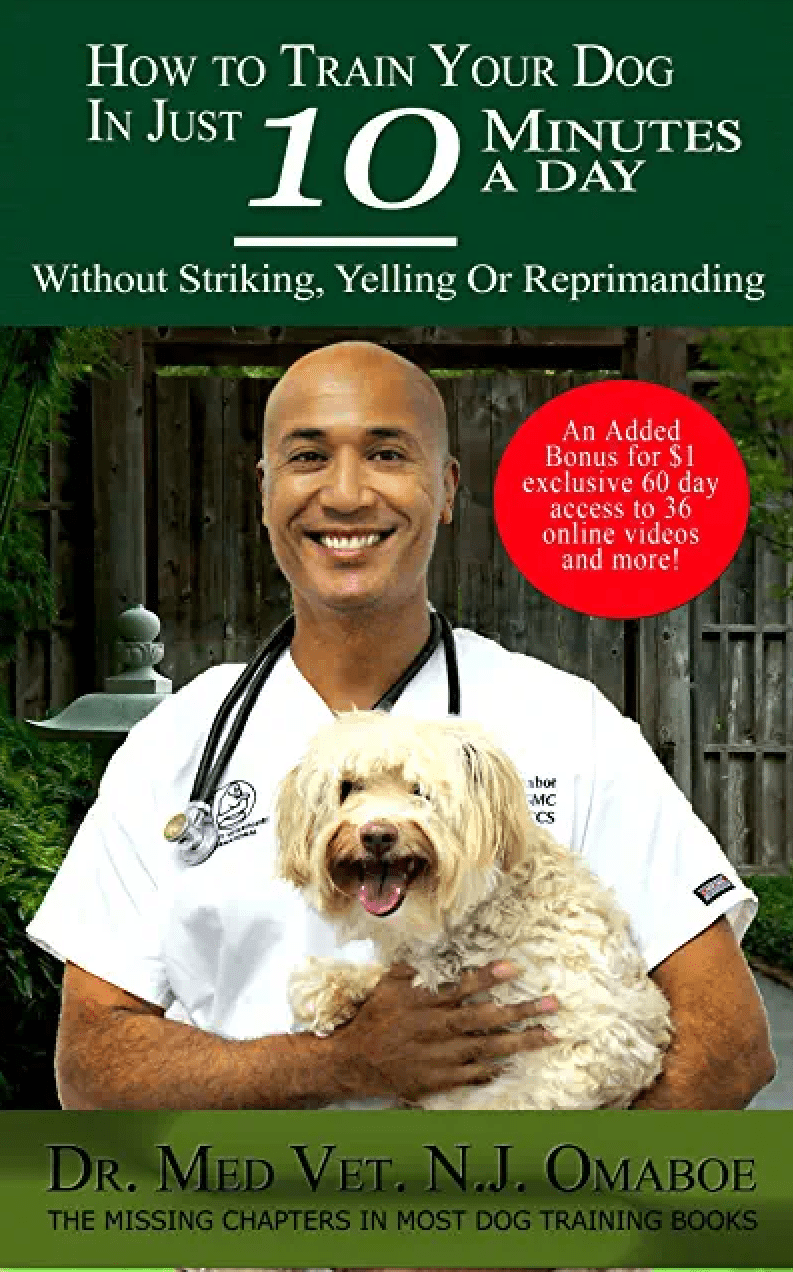 Vétérinaire Versoix, Veterinaire Versoix, Versoix Veterinaire, Versoix Vétérinaire, cabinet vétérinaire versoix, cabinet veterinaire versoix, clinique vétérinaire versoix, vétérinaire de Garde Versoix,veterinaire de Garde Versoix, Cabinet Vétérinaire International