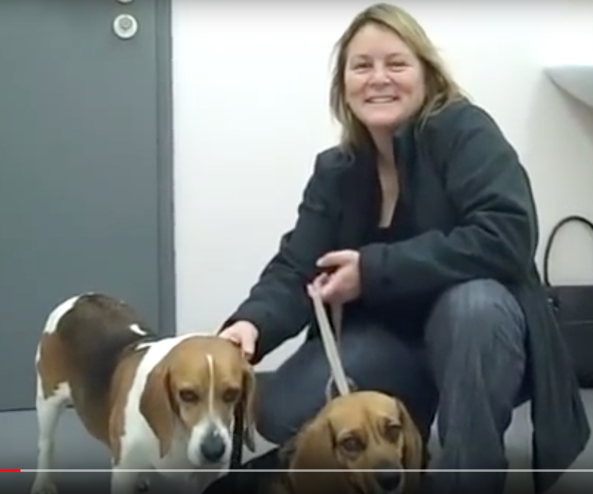 SOS Vétérinaire Genève, Urgences Vétérinaire Genève,Vétérinaire Genève, Vétérinaire de Garde Genève, Veterinaire de Garde Geneve, vétérinaire Versoix,  vétérinaire Rolle, vétérinaire Commugny, Vétérinaire urgence Nyon, vétérinaire crans près Céligny, vétérinaire Mies, Vétérinaire Nyon, vétérinaire Gland, vétérinaire Coppet, Vétérinaire de Garde Genève , Veterinaire de Garde Geneve, Vétérinaire de Garde Nyon, Vétérinaire de Garde Vaud, Vétérinaire de Garde Gland, Vétérinaire de Garde Morges, Animal Hospital Geneva, Geneva Animal Hospital, Difficulté à Uriner, Vétérinaire de Garde Lausanne ,apathie ou faiblesse chiens et chats