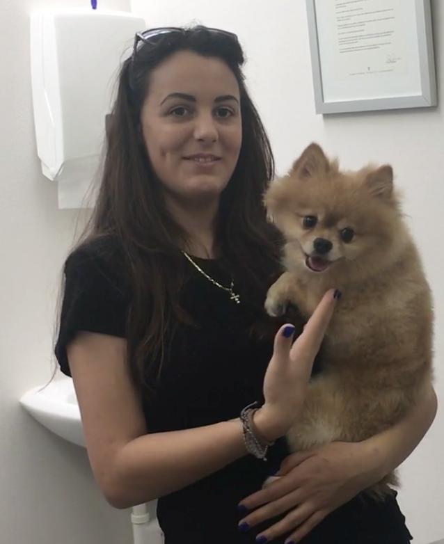 Animal Hospital Geneva, Geneva Animal Hospital, veterinarian Geneva, Geneva Veterinarian