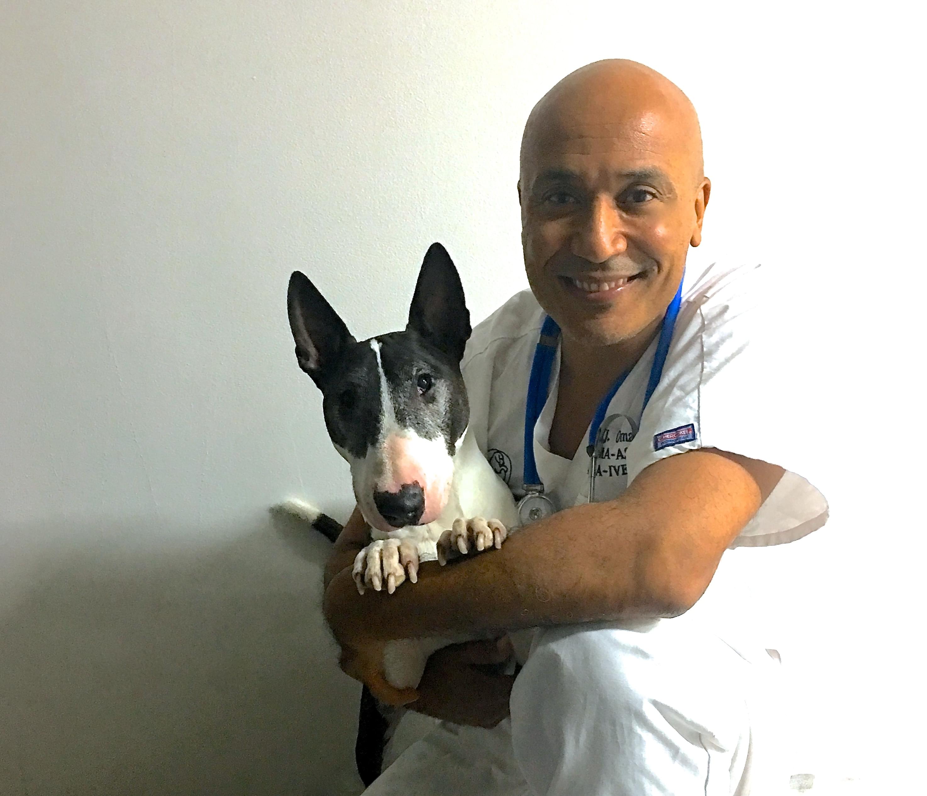 Animal Hospital Geneva Area